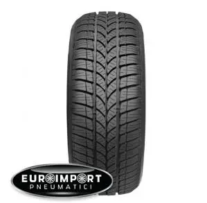 Taurus Taurus winter 601 165/70 R14 81 T  TL